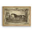 Distinguished Horses IV - reproduction d'art sur toile encadrée-1946686342-1946686336