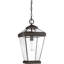Guilbert Outdoor Hanging Lantern-755828258