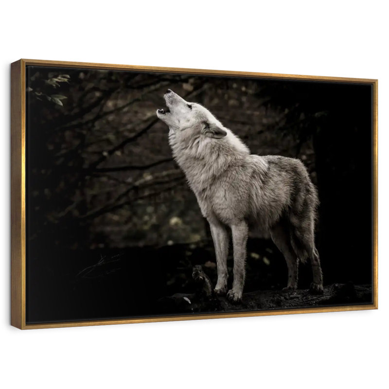 Le loup solitaire, Cadre flottant doré, 37 po x 25 po