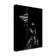 « scratching rodeo vi », photographie sur toile tendue-1538372752