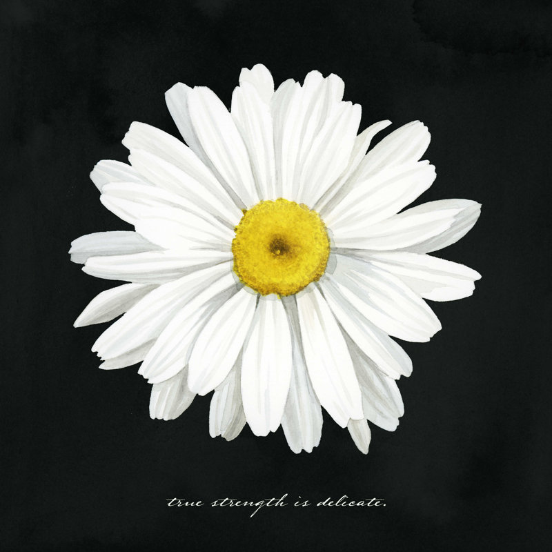 «Delicate Daisy II» par Grace Popp, reproduction sur toile tendue, H 20 po x l 20 po x P 1,25 po