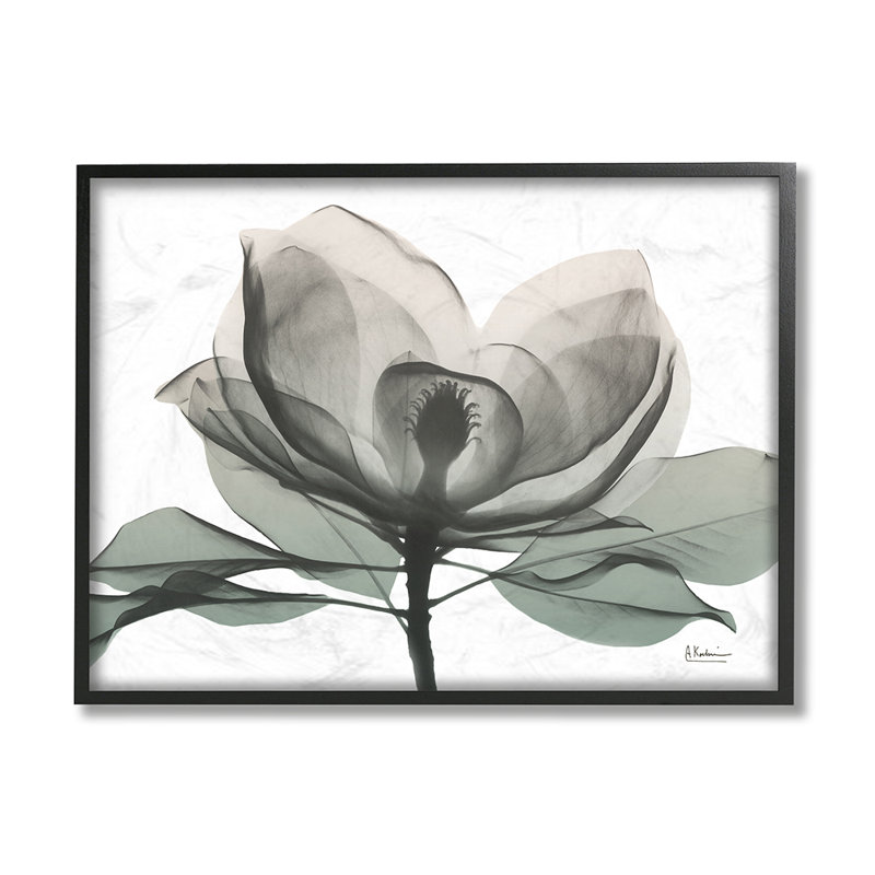 «White Magnolia Flower White Green Silhouette» par Albert Koetsier - impression d'art graphique, Giclée encadrée noir minuit