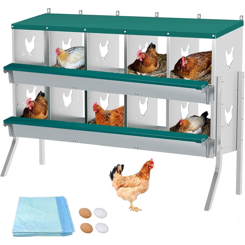 Boîte de nidification pour poulets 10 compartiments avec pattes 10 coussins d’humidité pour animaux de compagnie et 4 œufs roulés