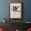 Antique Antique Tulip Study IV, toile encadrée de qualité supérieure - prête à être accrochée-974080493
