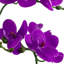 Artificial Arrangement in Planter