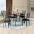 Kaneshiro Ladder Back Welded Dining Chairs