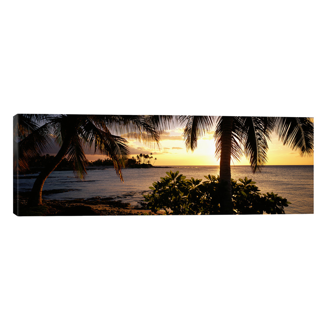 Kohala Coast, Hawaii, USA by Panoramic Images - No Frame Panoramic Print on Canvas