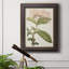 Toile encadrée de qualité supérieure Antique Botanical Collection VI - prête à être accrochée-73987269