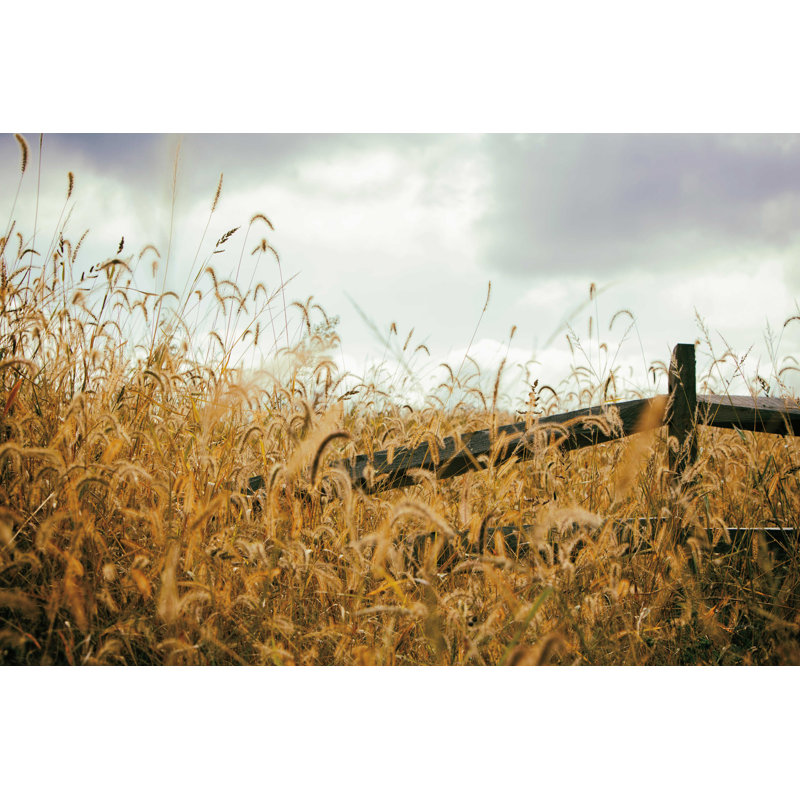 «Fencerow Crop» par Aledanda Print, H 8 po x l 12 po, Non, Toile tendue