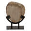Tiernan Sculpture Light Natural