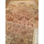 Oriental Area Rug in Beige