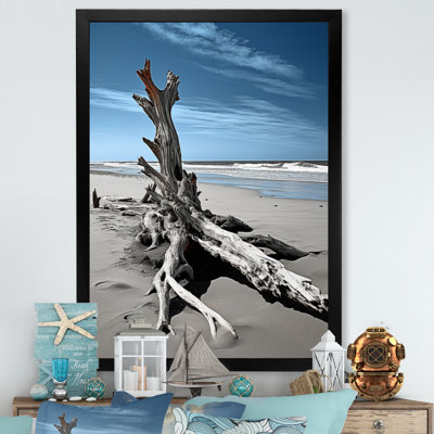 Yeal " Beach Driftwood Photo II "