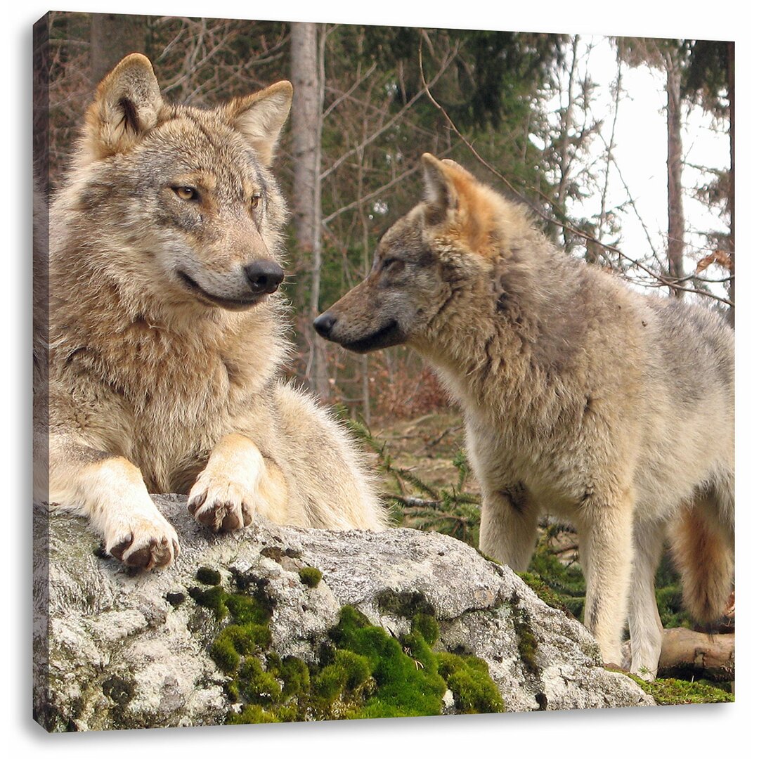 Leinwandbild Wölfe im Wald