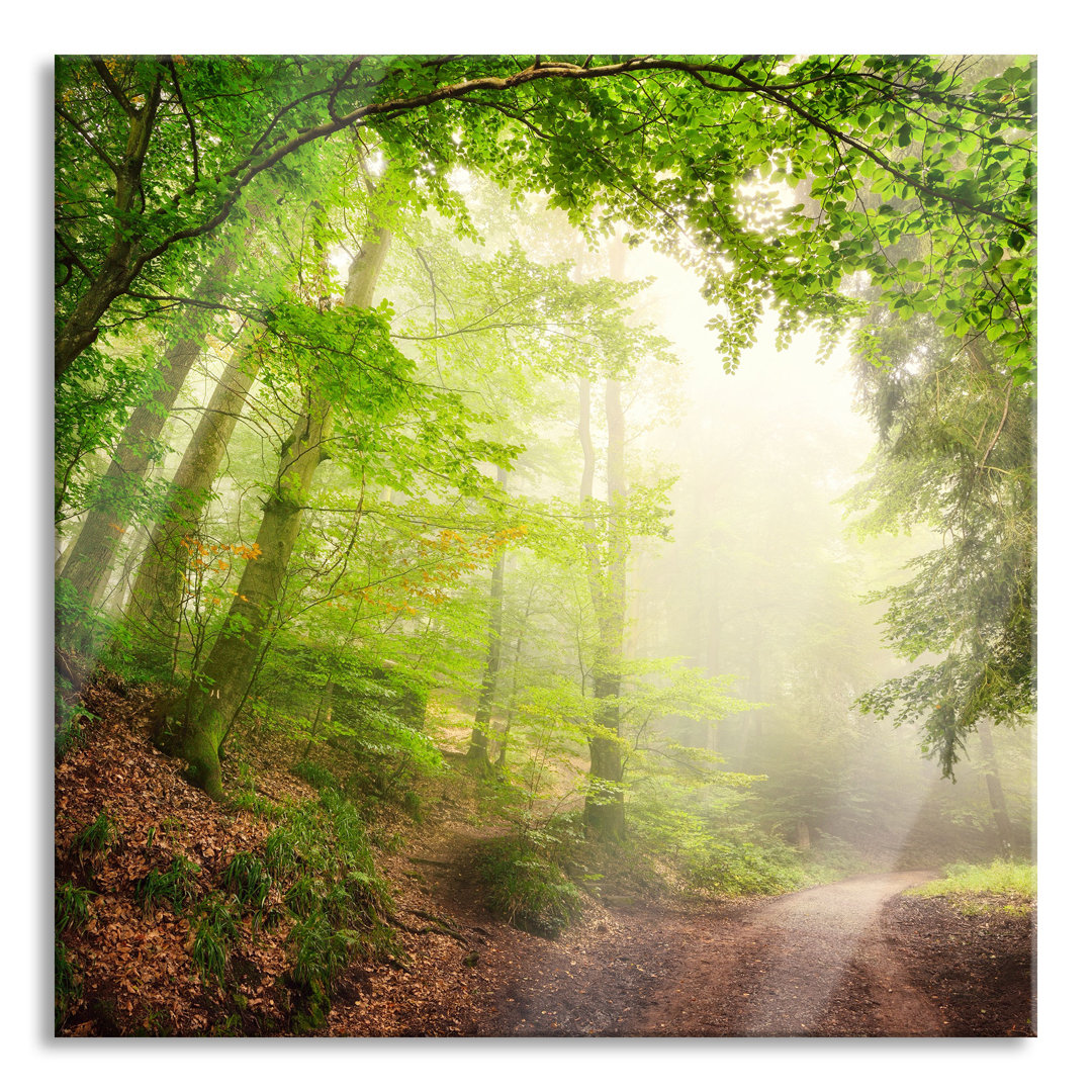 Glasbild Sonnenstrahlen Waldweg