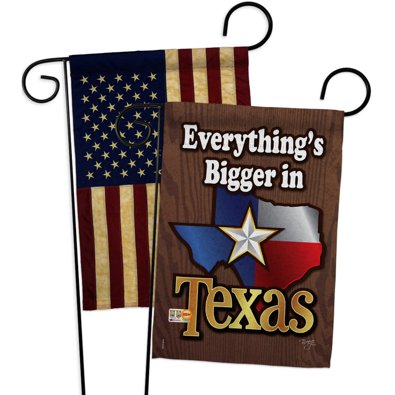 Ensemble de 2 drapeaux en polyester vertical décoratif à motif 2 pièces texas americana statements, H 18,5 po x l 13 po