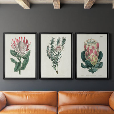 " Protea N13 " 3 - Pieces