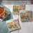 High Desert 4-Pack Tumbled Tile Stone Coasters