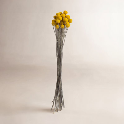 Preserved Arrangement