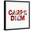 Seize The Day by Marmont Hill - Single Picture Frame Print-37938580