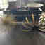 Customer photo 2 of 2
