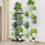 Plant Stand-50357862