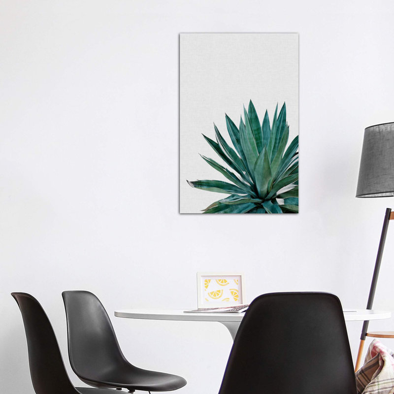« agave cactus »-impression photographie, H 48 po x l 32 po x P 1,5 po, Toile tendue