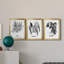 B&W d'intérieur plante IV - ensemble de 3 peintures sur toile encadrées-524709916-524709918