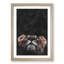 Lion Looking Upwards - Framed Print-56853251-56853254