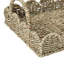 Tray 1-1349628709
