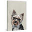 Wrapped Canvas Painting-36811543