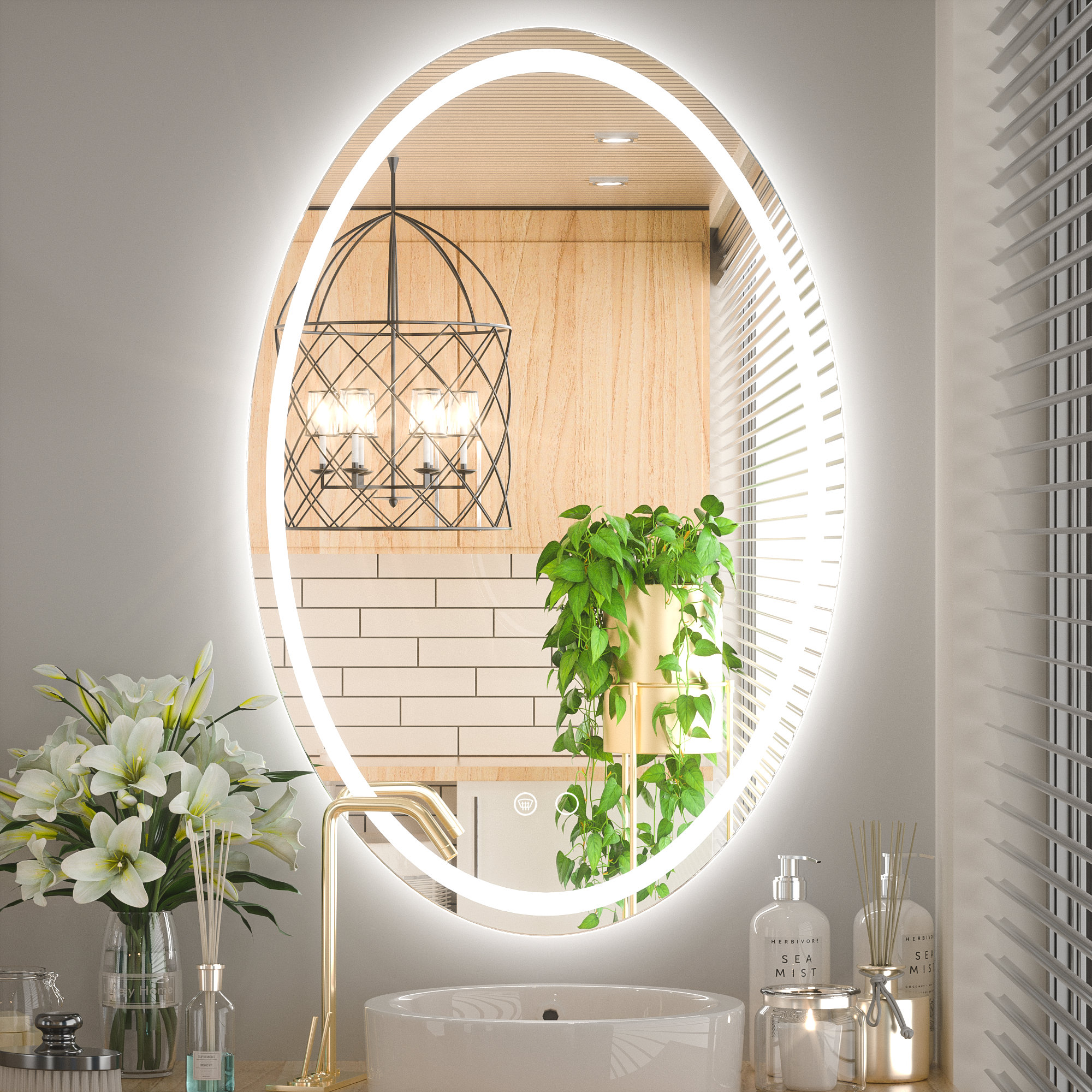 Orren Ellis Adorna Oval Frontlit & Backlit LED Bathroom Vanity Mirror