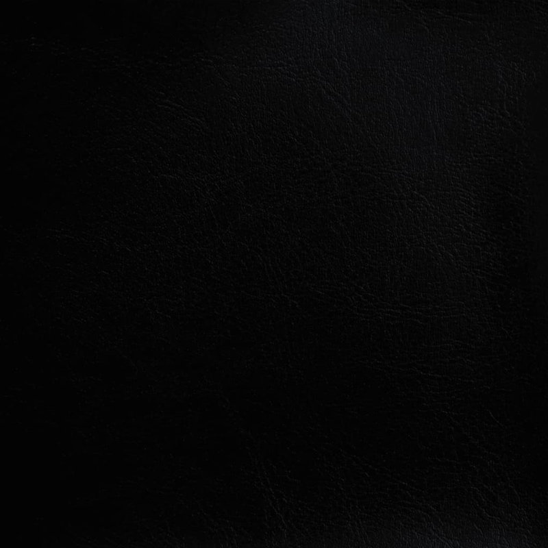 Fauteuil de baignoire Winston Porter, Similicuir noir, Sans repose-pieds, Noir