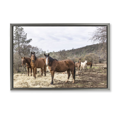 Horse Family Grazing Land  Framed Floater Canvas Wall Art, design by PIDDIX