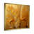 Gold Picture Framed
