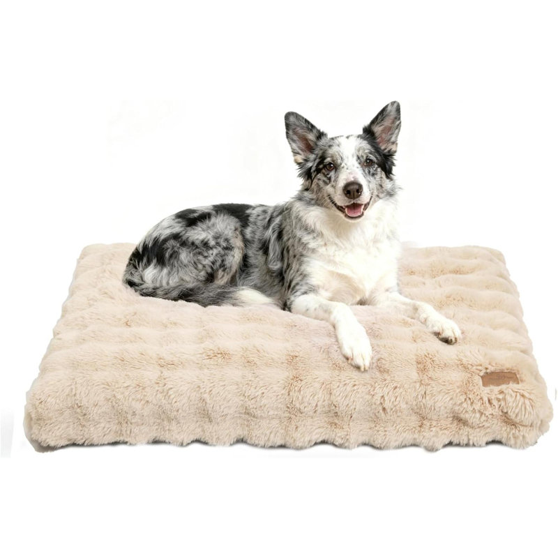 Pet Bed