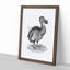 Dodo in Black and White by George Shaw - Framed Print-55545832-55545834