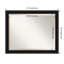 Quandt Flat Wall Mirror-84510431