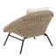 Alisyn Outdoor Lounge Chair
