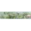 Papier peint à bordure en relief floral et botanique 15 pi x 6 po ruby Rubie