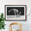 Two Giraffes Vol.3 - Framed Print-62792611-62792613