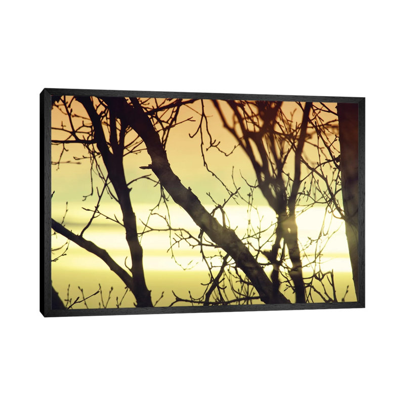 Aspen Sunset I by Savanah Plank - Gallery-Wrapped Canvas Giclée on Canvas, Black Framed, 101.6 cm H x 66.04 cm W