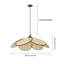 Luminaire suspendu à 1 lumière Ardeen