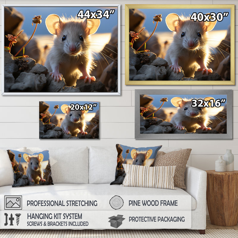 «White Cute Rodent Portrait I», reproduction sur toile, H 12 po x l 20 po x P 1 po, Cadre flottant blanc