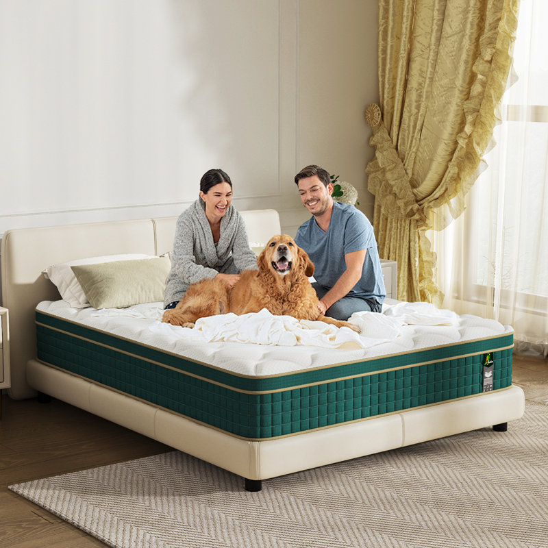 12" Hybrid Mattress with Memory foam and Pocketed Coils, Full 