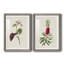Pretty Pink Botanicals VI - Ensemble de 2 reproductions de cadres photo-1481787739-1481787808