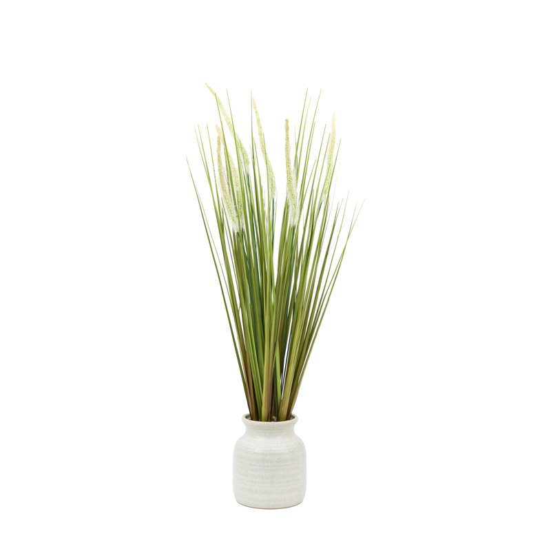 Potted Grass with Feathered Wildflower