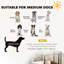 Parc pour chien robuste, parc portable pliable pour animaux 8 panneaux-109765853