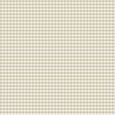 Nerijus Little Explorers 2 Two Tone Gingham Wallpaper Roll