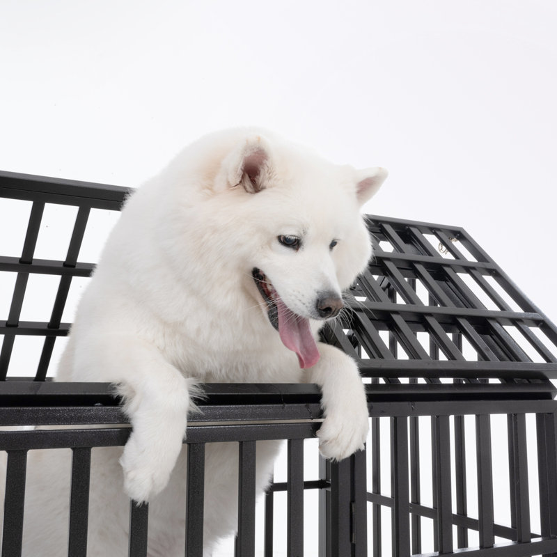 Metal Dog Kennels with 4 Lockable Wheels