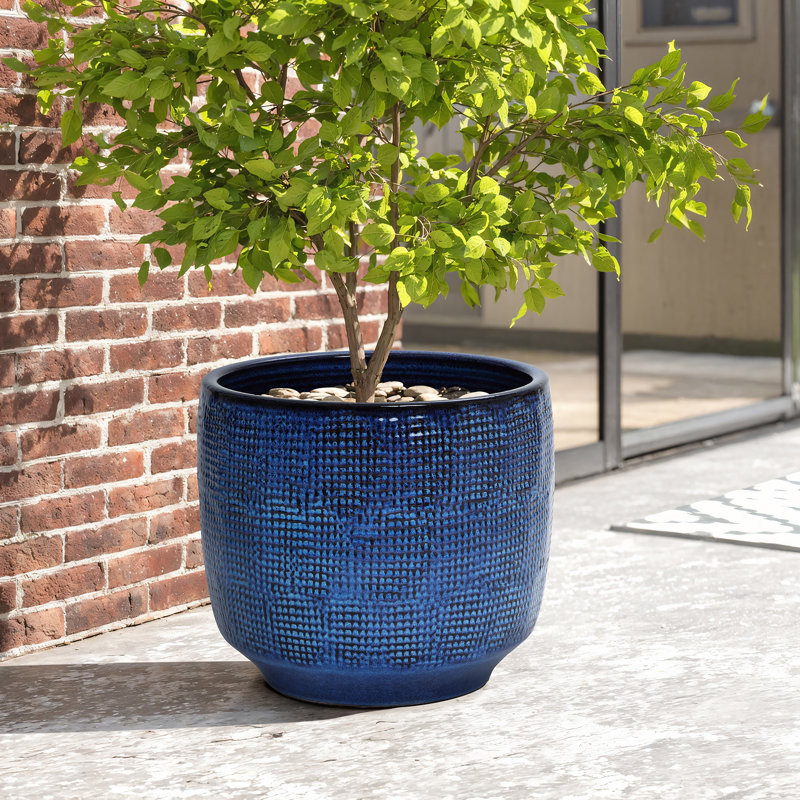 Pot à fleurs rond en céramique Gwendelynn, H 14 po x l 15,75 po x P 15,75 po, Bleu de cobalt